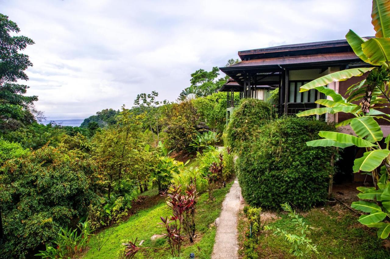 Tiki Villas Rainforest Lodge - Adults Only Увіта Екстер'єр фото