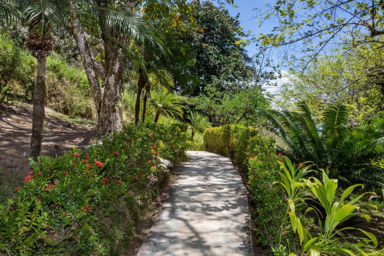 Tiki Villas Rainforest Lodge - Adults Only Увіта Екстер'єр фото
